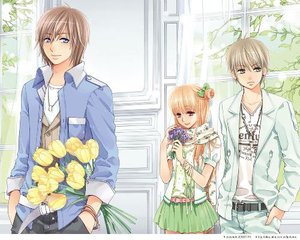 王申高义孙倩免费阅读无删减